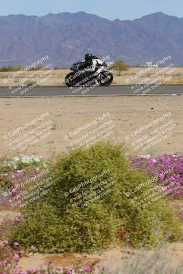 media/Mar-12-2023-SoCal Trackdays (Sun) [[d4c8249724]]/Turn 15 Inside Bloom (130pm)/